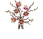 LEGO Botanicals Magnolia Branches