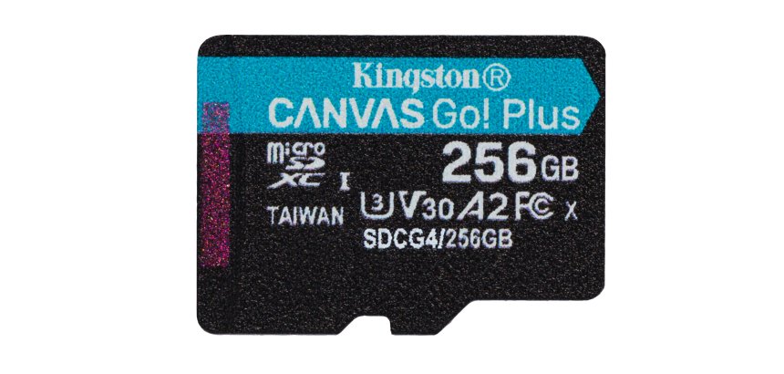 Kingston Technology Carte microSDXC Canvas Go Plus Gen4 200R A2 U3 de 256 Go, pack unique sans ADP