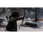Sony Interactive Entertainment The Last of Us Remastered, PS4 English, Italian PlayStation 4