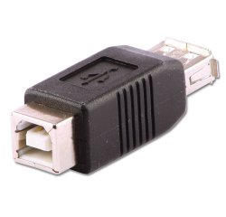 Lindy 71228 cambiador de género para cable USB A USB B Negro