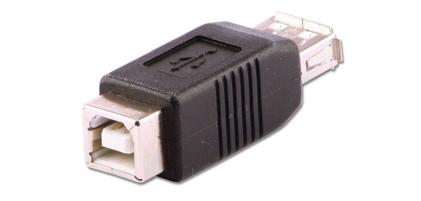 Lindy 71228 cambiador de género para cable USB A USB B Negro