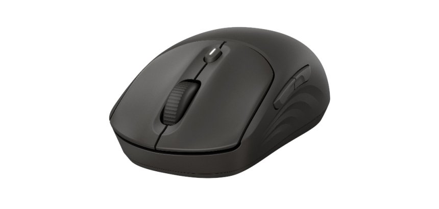 HP 405 Quiet Wireless Mouse