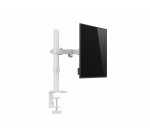 Equip Soporte de escritorio articulado para monitor de 17«-32», blanco