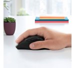 Logitech Marathon Mouse M705