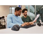 HP Souris ergonomique inclinable 725M