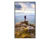 Sharp PN-E439 Digital signage flat panel 109.2 cm (43") LCD 350 cd/m² 4K Ultra HD Black 16/7