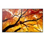 Sharp MultiSync M862 Écran plat de signalisation numérique 2,18 m (86") LCD 550 cd/m² 4K Ultra HD Noir 24/7