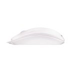 CHERRY WHEELMOUSE OPTICAL Souris filaire, gris clair, PS2/USB