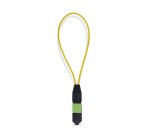 StarTech.com Module Loopback MPO, Adaptateur de Bouclage Fibre Optique Monomode 9/125 MPO-12 Femelle, Testeur Loopback MPO/MTP-APC, Testeur de Bouclage MPO Femelle