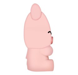 Celly PBPIG power bank Lithium Polymer (LiPo) 2600 mAh Pink