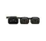 Eaton P004-02M-2C13EU câble électrique Noir 2 m IEC C14 IEC C13