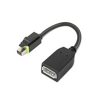 Lenovo 4X90Q93975 câble vidéo et adaptateur Mini DisplayPort DisplayPort Noir
