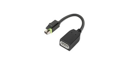 Lenovo 4X90Q93975 câble vidéo et adaptateur Mini DisplayPort DisplayPort Noir