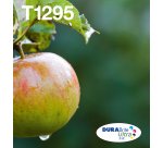 Epson Apple Encre EasyMail DURABrite Ultra multipack 4 couleurs Pomme T129
