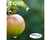 Epson Apple Encre EasyMail DURABrite Ultra multipack 4 couleurs Pomme T129