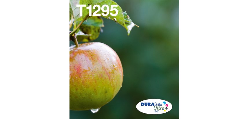 Epson Apple Encre EasyMail DURABrite Ultra multipack 4 couleurs Pomme T129
