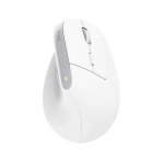Trust Bayo+ souris Bureau Droitier RF sans fil + Bluetooth Optique 2400 DPI