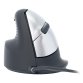 R-Go Tools Souris Ergonomique R-Go HE Break avec logiciel de pause, gaucher, moyen (longueur de la main 165-185 mm), filaire, noir