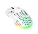 Trust GXT 929 Helox souris Gaming Droitier RF sans fil Optique 4800 DPI