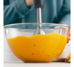 Philips 1000 series HR2522/00 blender Immersion blender 500 W