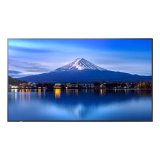 SHARP/NEC MultiSync P656 En forme de kiosk 163,8 cm (64.5") LCD 700 cd/m² 4K Ultra HD Noir Intégré dans le processeur