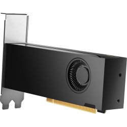 HP NVIDIA RTX 2000 Ada 16 GB 4mDP Graphics