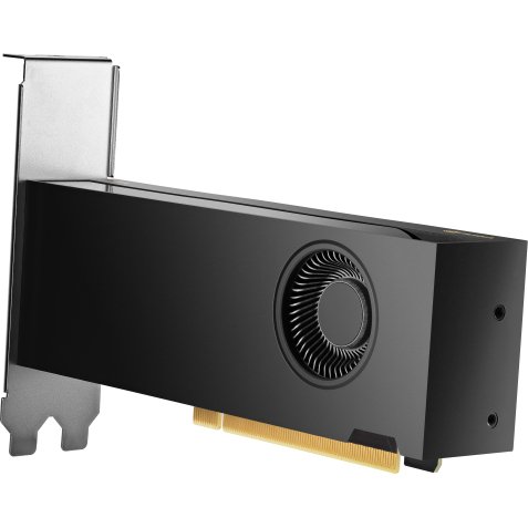 HP NVIDIA RTX 2000 Ada 16 GB 4mDP Graphics