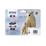 Epson Polar bear Encre Claria Premium multipack 4 couleurs Ours Polaire 26XL