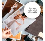 Epson Polar bear Inchiostro giallo singolo Claria Premium Orso bianco 26