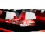 Lexip Clavier Qwerty X Ubisoft - Assassin's Creed - Shadows
