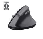 Trust Bayo II ratón Médico mano derecha RF inalámbrico Óptico 2400 DPI