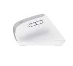 Trust Bayo+ souris Bureau Droitier RF sans fil + Bluetooth Optique 2400 DPI