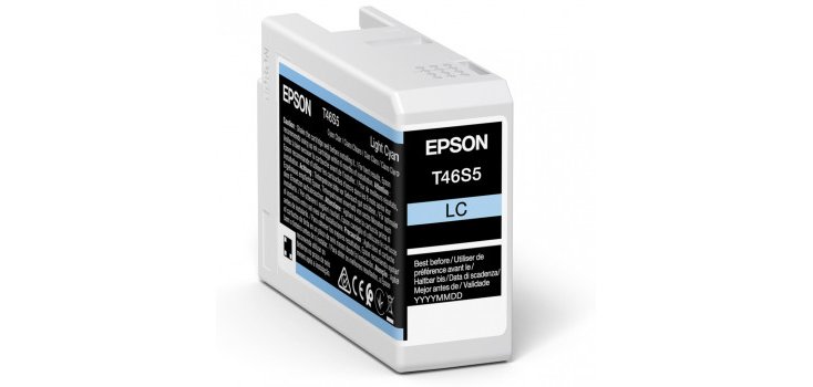 Epson UltraChrome Pro cartouche d'encre 1 pièce(s) Original Rendement standard Cyan