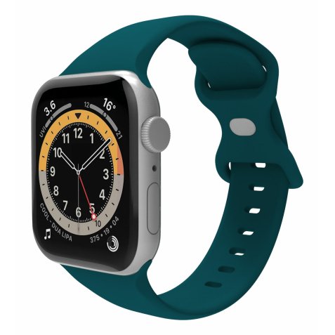 Celly WBANDSIL44GN pieza y accesorio para reloj Correa de reloj