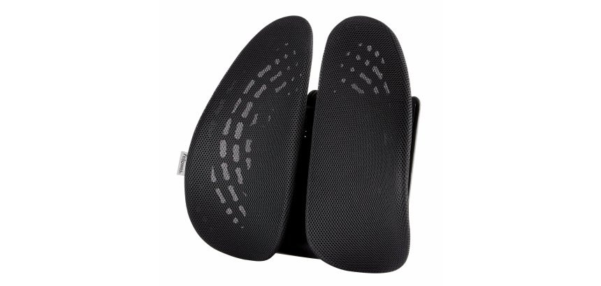 Fellowes 8026401 soutien lombaire pour dossier de siège Noir