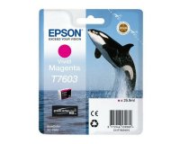Epson C13T76034N10 cartucho de tinta 1 pieza(s) Original Magenta vivo