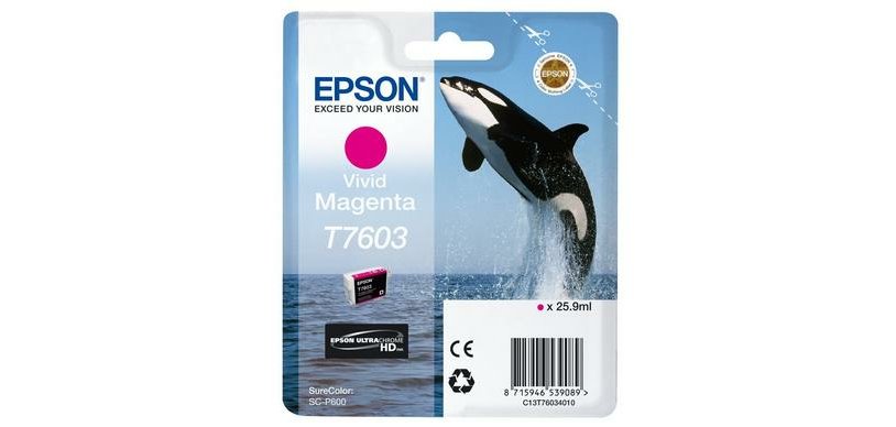 Epson C13T76034N10 cartouche d'encre 1 pièce(s) Original Magenta vif