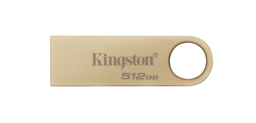Kingston Technology DataTraveler 512Go 220Mo/s Clé USB 3.2 Gen 1 Métal SE9 G3