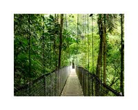 HP EliteBook 6 G1i 14 inch Notebook AI PC Wolf Pro Security Edition Intel Core Ultra 7 255U Portátil 35,6 cm (14") WUXGA 16 GB DDR5-SDRAM 512 GB SSD Wi-Fi 7 (802.11be) Windows 11 Pro Plata