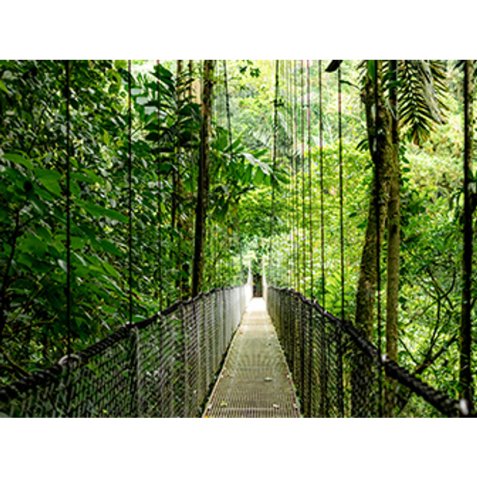 HP EliteBook 6 G1i AI PC Wolf Pro Security Edition Intel Core Ultra 7 255U Ordinateur portable 35,6 cm (14") WUXGA 16 Go DDR5-SDRAM 512 Go SSD Wi-Fi 7 (802.11be) Windows 11 Pro Argent