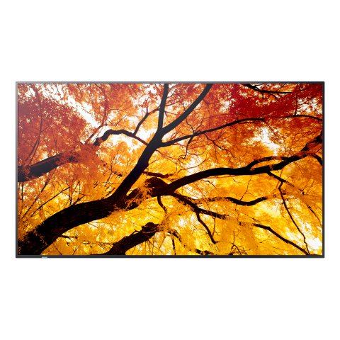 Sharp MultiSync PN-M752 189,2 cm (74.5") LED 550 cd / m² 4K Ultra HD Negro 24/7