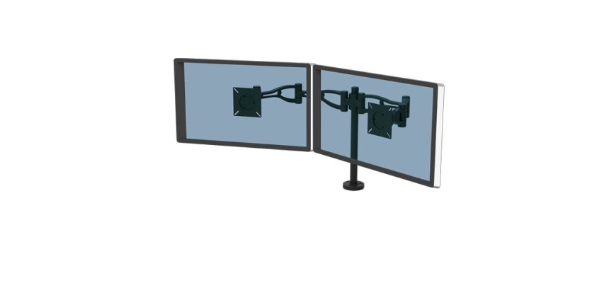 Fellowes Vista Bras porte écran Double