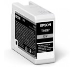 Epson UltraChrome Pro cartouche d'encre 1 pièce(s) Original Rendement standard Gris