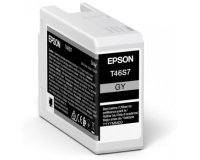 Epson UltraChrome Pro cartouche d'encre 1 pièce(s) Original Rendement standard Gris
