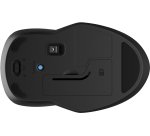 HP Souris double 250