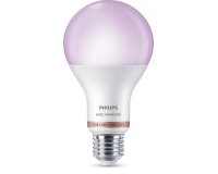 Philips Bulb 13W (Eq.100W) A67 E27