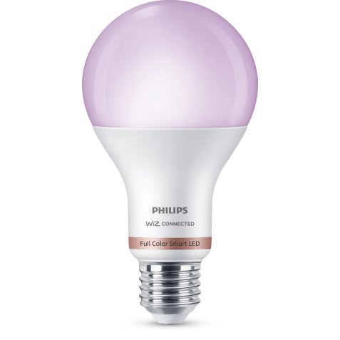 Philips Bulb 13W (Eq.100W) A67 E27