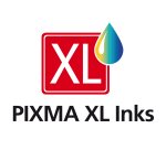 Canon 6431B010 cartouche d'encre 2 pièce(s) Original Noir