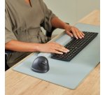 Fellowes 100143579 souris Universel Droitier Bluetooth + USB Type-C Optique 1600 DPI