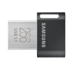 Samsung MUF-256AB lecteur USB flash 256 Go USB Type-A 3.2 Gen 1 (3.1 Gen 1) Gris, Argent